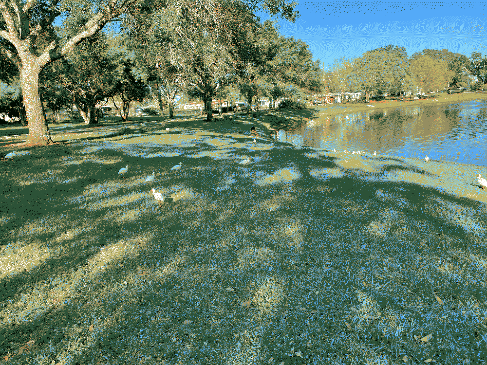 Seminole city park