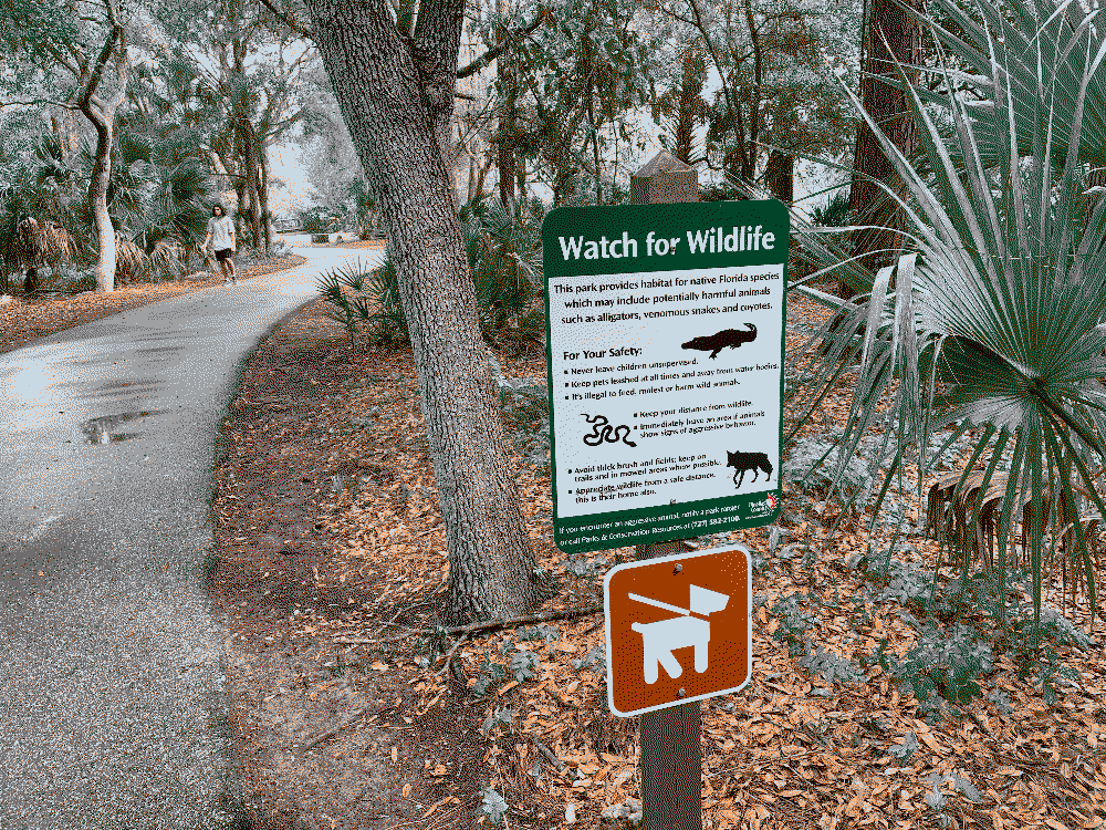 photo of 'beware of aligators' sign at park